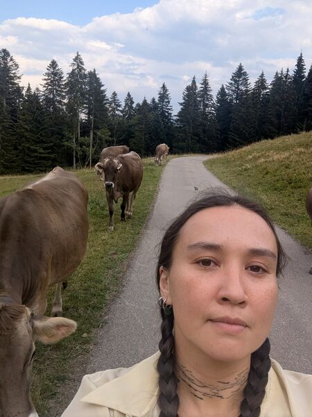 File:Kim cows.jpg