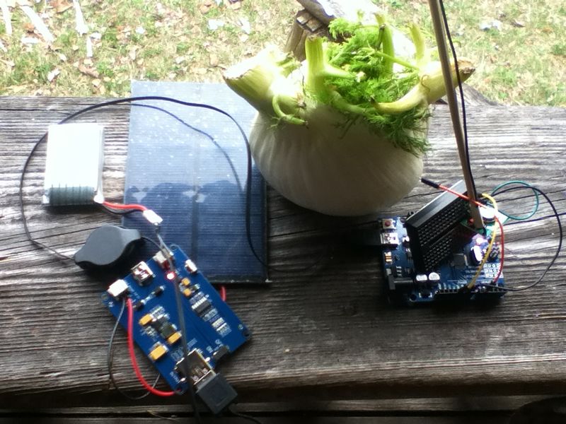 File:SolarRC IMG 5644.JPG